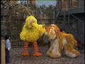 Sesame Street 1799 What Does Barkley Want 1983