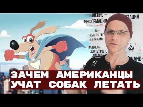 Зачем американцы учат собак летать.  Life coach session. Why Americans Teach Dogs to Fly.