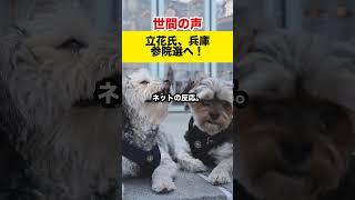 【世間の反応】立花孝志氏、兵庫で出馬！当選狙う！#shorts