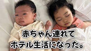【避難】普通に暮らしていた家に異変…［アメリカ生活｜生後1ヶ月赤ちゃん］