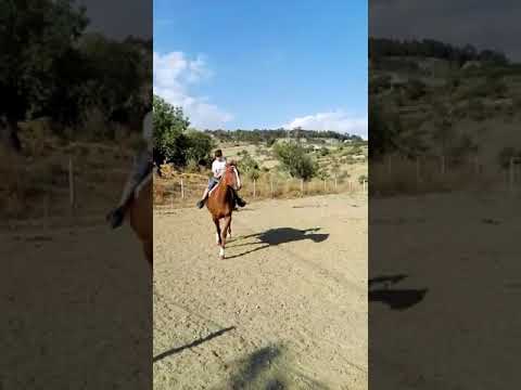 Cavalco il mio cavallo