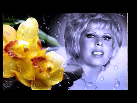 MEDİHA ŞEN SANCAKOĞLU - Bir Kızıl Goncaya Benzer Dudağın & Keman Taksimi