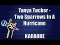 Tanya Tucker Two Sparrows In A Hurricane Karaoke