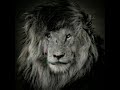 Scarface Sia Unstoppable Song WhatsApp Status SCARFACE