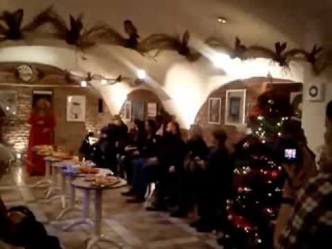 Mirjana Pospiš Gardens bar 2013.