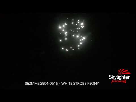 062MMSH904-0616 - 62mm WHITE STROBE PEONY