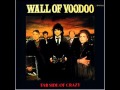Wall Of Voodoo - Dance You Fuckers ♥†* [classix]