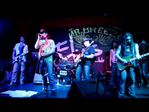 Mr Breeze - Lynyrd Skynyrd Italian Tribute - Free Bird live @ elvis fan Livorno