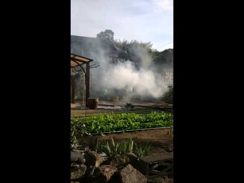 庭の緑の廃棄物を燃やす：何を燃やすことが許可されていますか？庭で燃やすにはどうすればよいですか？  庭園