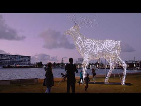 Mandurah Christmas Lights