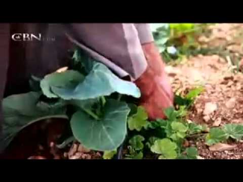 The 700 Club - January 13, 2012 - CBN.com