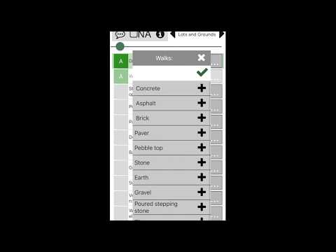 Palm-Tech Plus Video
