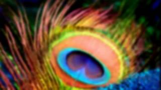 Bibio - Don't Summarise My Summer Eyes (Late Night Tales: Friendly Fires)