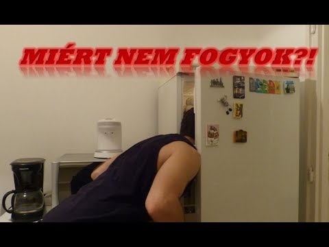 tamagotchi v3 fogyni