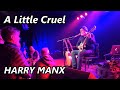 Harry Manx - A Little Cruel - live in Cologne (Germany) 2018 #HarryManx