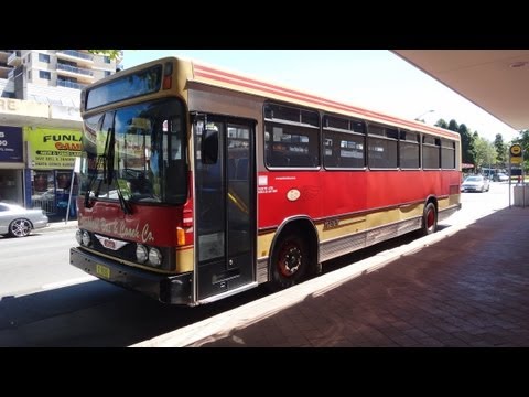 Punchbowl Bus & Coach Co. M/O 9030 - Hino RG197K (Allison/Custom Coaches)