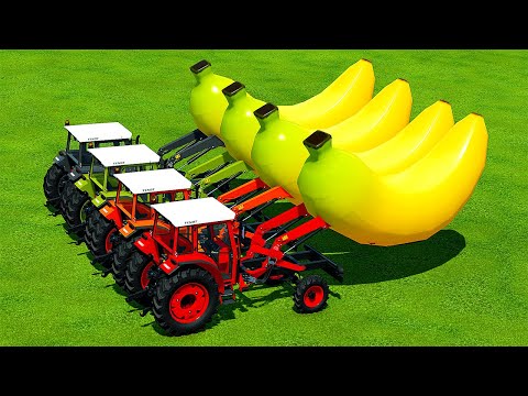 TRANSPORT BANANAS WITH COLORED FENDT TRACTORS - Farming Simulator 22