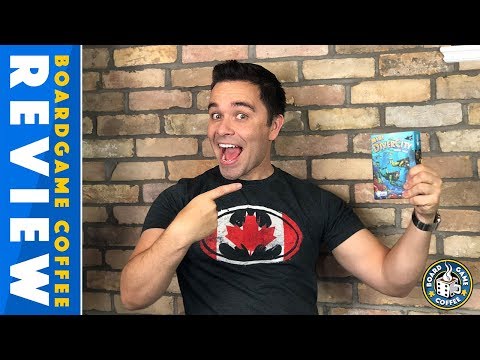 Mini DiverCity Review