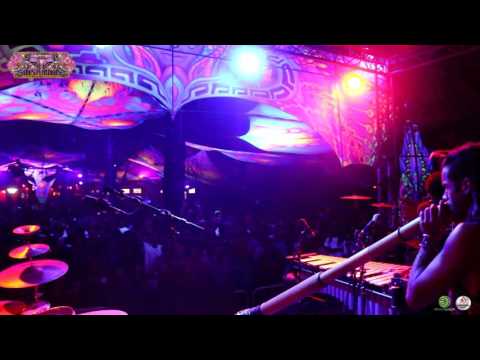 Olive Tree Dance @ Insomnia Festival 2016 (Samaveda) Full HD