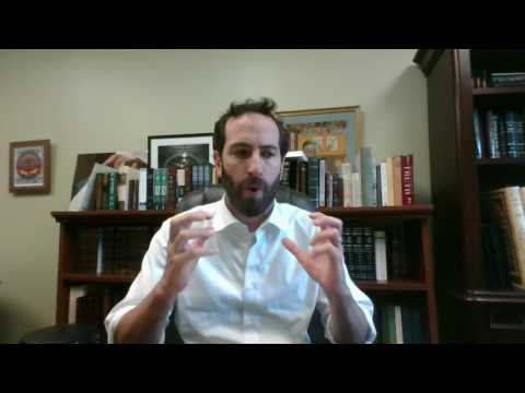 Netziv on the Parsha - Shmini