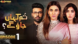 Tum Kahan Jao Gay