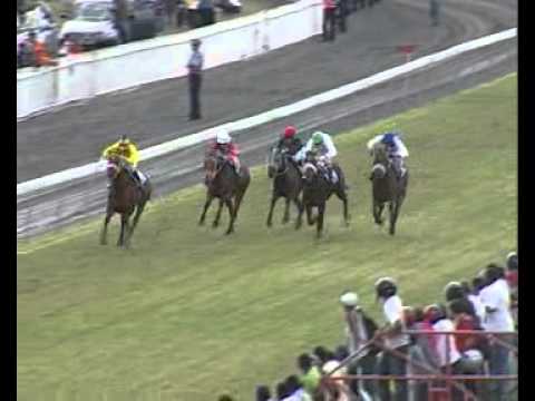 Day 21 Race 4 - WESTERN EMBLEM - R.Boutanive