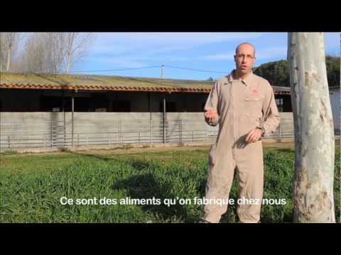 download lagu mp3 mp4 Pluma Duroc De Batalle, download lagu Pluma Duroc De Batalle gratis, unduh video klip Pluma Duroc De Batalle