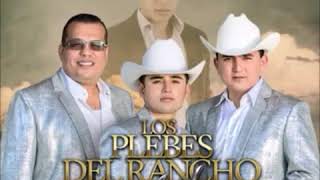 Plebes del rancho de Ariel Camacho jefe de jefes
