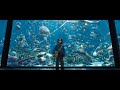 Arthur talking to the fish | Aquaman (2018) HD
