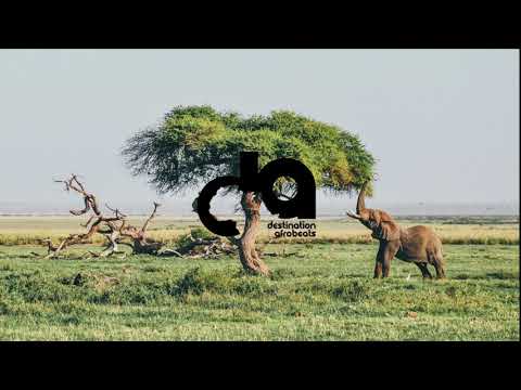 Brella – Trotro (Prod by Danny Beatz)