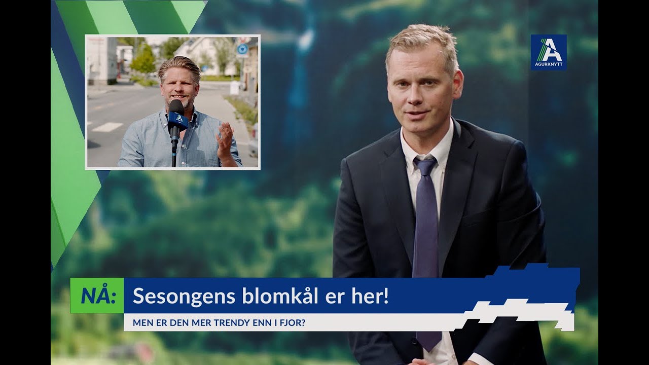 Trendy blomkål