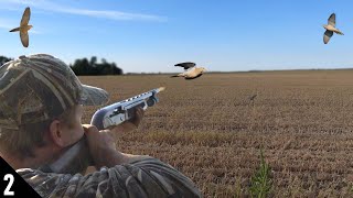 This Field Was LOADED with DOVES! | 28 GAUGE Dove Hunting