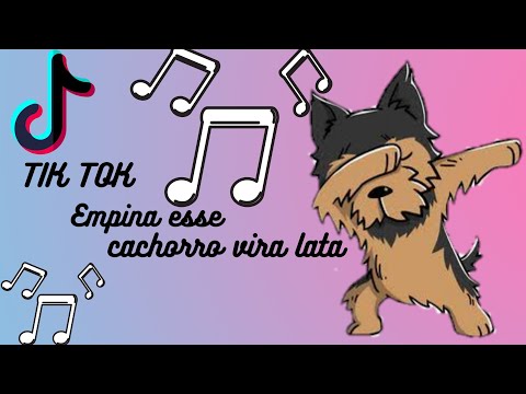TIK TOK  - EMPINA ESSE CACHORRO VIRA LATA