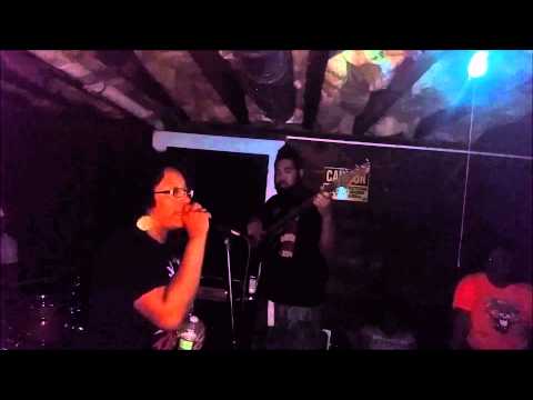 Sybil Shanell & Cafe Au Lait f Nation on the Bass - What You Won't Do For Love Live