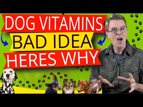 7 Reasons Not to Feed Your Dog Vitamins (Feed This Instead)