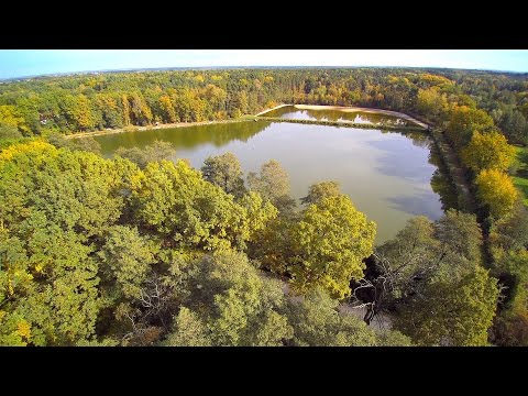 Łowisko Zbyszko. Jesienny Amur. Przyborów gm. Borzęcin.