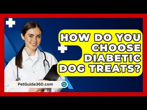 How Do You Choose Diabetic Dog Treats? - PetGuide360.com