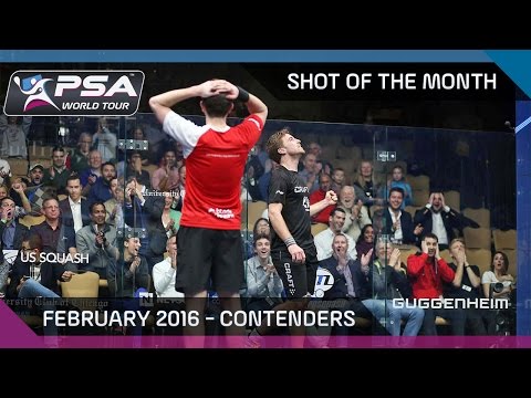 Squash: Shot of the Month - Feb '16 Contenders