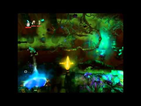 Trine 2 No Skill Points - 5 The Flower's House?