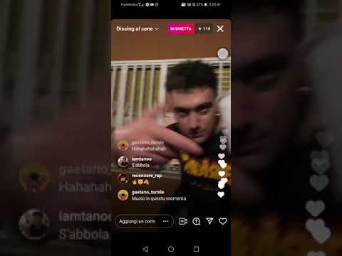 l'elfo freestyle VS il cane pt. 1