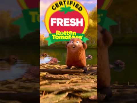 Hop into the adventure at home