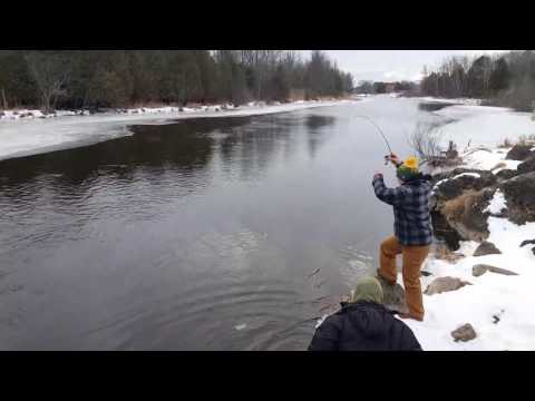 Open water steelhead on ice fishing rod