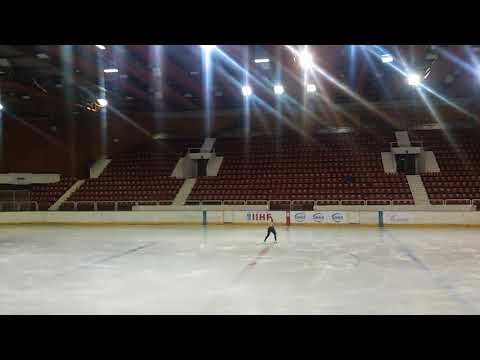 Denkova-Staviski Cup 2017 | Nelma HEDE (FIN) SP