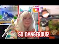 ENDANGERING Pets CHILDREN For Clout