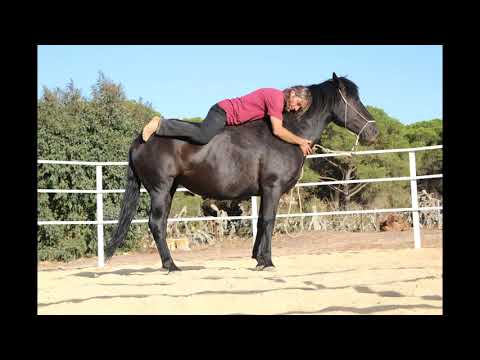 Promocion curso de amanse y doma