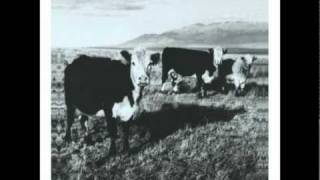 Mark Kozelek - Bedtime lullaby