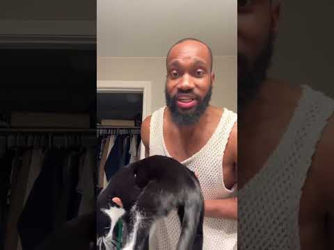 Cat People are Weird