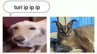 Cover art for bruhmoment