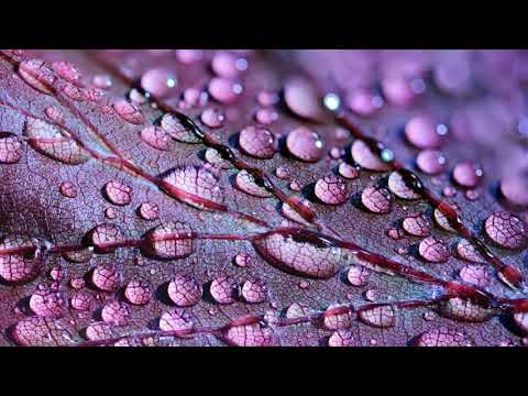 Blanka Mazimela feat. Khonaye - Autumn