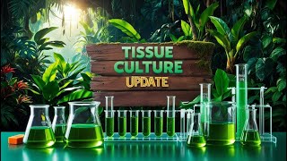 TC Update: Invitro Seed Germination